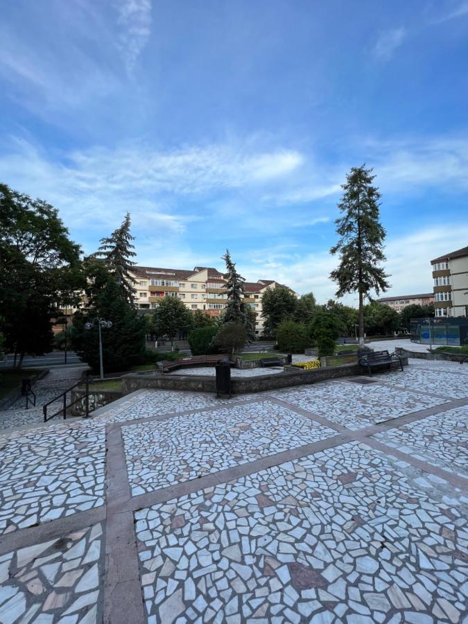 Apartament Centru Râmnicu Vâlcea 외부 사진